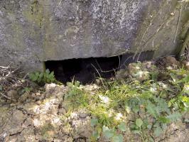 Ligne Maginot - 31TER - FOND DE LA CHAUSSEE EST - (Blockhaus pour canon) - L'entrée AC