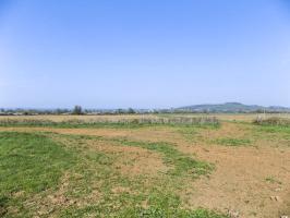 Ligne Maginot - 32A - RUISSEAU DU RIGEL - (Blockhaus pour arme infanterie) - Face frontale, vue vers le nord, Carrignan