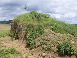 Ligne Maginot - 34A - LE BOCHET NORD - (Blockhaus pour arme infanterie) - Face droite