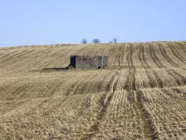 Ligne Maginot - BULTY NORD - (Blockhaus pour canon) - Face gauche pris du chemin à l'ouest