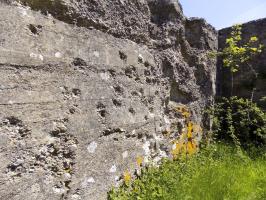 Ligne Maginot - COUPURE DE VAVENY - (Stand de tir) - 