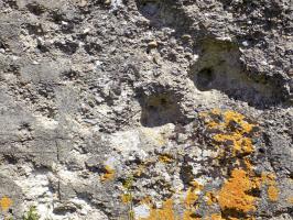 Ligne Maginot - COUPURE DE VAVENY - (Stand de tir) - 