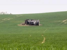 Ligne Maginot - GRAND FOSSE - (Blockhaus pour canon) - 