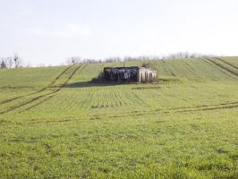 Ligne Maginot - GRAND FOSSE - (Blockhaus pour canon) - Pris du nord ouest