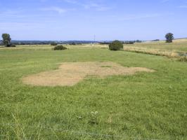 Ligne Maginot - MAIRY NORD - (Blockhaus lourd type STG / STG-FCR - Double) - La sécheresse dévoile ses secrets. Vue vers l'est, Brévilly en arrière-plan.