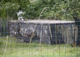 Ligne Maginot - MAIRY NORD-OUEST - (Blockhaus pour arme infanterie) - 
