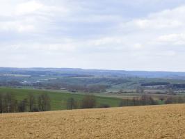 Ligne Maginot - MOULIN D'EUILLY - (Blockhaus pour canon) - Vue vers le Nord-Est
