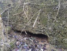 Ligne Maginot - O3 - CERNAY - (Observatoire d'infanterie) - Présence de fers à béton au dessus du créneau FM. Peut-être en prévision d'un coffrage ultérieur (visière ?).