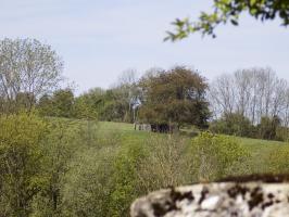 Ligne Maginot - P - FOND DE NOE NORD - (Blockhaus pour canon) - Vue vers le nord-ouest, Vaux lès Mouzon Nord
