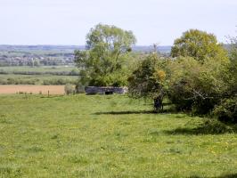 Ligne Maginot - P - FOND DE NOE NORD - (Blockhaus pour canon) - L'arrière, entrée AC, chemin le long des arbres à droite