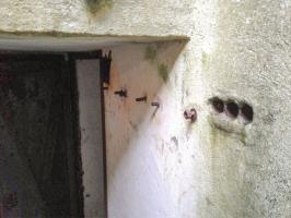 Ligne Maginot - 13 - (Chambre de coupure) - Le couloir. Fourreaux de passage des câbles.
