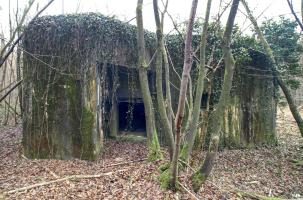 Ligne Maginot - A36 - FORT JEAN DIOT - (Casemate d'infanterie - double) - 