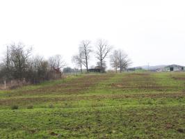 Ligne Maginot - BB314 - DALSTEIN NORD 2 - (Blockhaus pour canon) - Le blockhaus vu du nord.