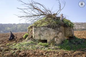 Ligne Maginot - 55 - LES CHASINES - (Blockhaus pour arme infanterie) -         