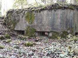 Ligne Maginot - 66BIS - BOIS LE SART CENTRE - (Blockhaus pour arme infanterie) - Vue extérieure des trois créneaux.