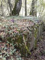Ligne Maginot - 66BIS - BOIS LE SART CENTRE - (Blockhaus pour arme infanterie) - Couvercle de la cheminée de ventilation de droite
encore en place.
