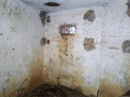 Ligne Maginot - 66TER - BOIS LE SART NORD - (Blockhaus pour arme infanterie) - Intérieur du bloc.
Créneau de gauche (FM).