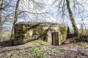 Ligne Maginot - 75 - LE MAMELON EST - (Blockhaus pour arme infanterie) - L'entrée