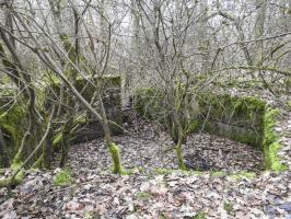 Ligne Maginot - SCHEIDE 2 - (Cuve pour canon) - La cuve est envahie par la végétation.
2023