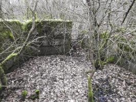 Ligne Maginot - SCHEIDE 2 - (Cuve pour canon) - La cuve est envahie par la végétation.