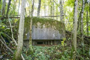 Ligne Maginot - 81BIS - LES MINIERES - (Blockhaus pour arme infanterie) - 