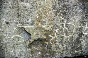 Ligne Maginot - 81BIS - LES MINIERES - (Blockhaus pour arme infanterie) - 