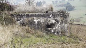 Ligne Maginot - 82 - BOIS DORVILLE EST - (Blockhaus pour arme infanterie) - 