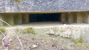 Ligne Maginot - A - BOIS RIGAULT - (Blockhaus pour canon) - 
