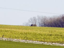 Ligne Maginot - B78TER - LA SERPE OUEST - (Blockhaus pour arme infanterie) - Vue vers l'est: Cloche de bloc 4 Le Chenois.