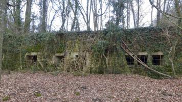 Ligne Maginot - BOIS DES ROCHES (3° DIC) - (PC) - 