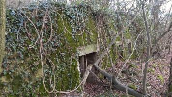 Ligne Maginot - BOIS DES ROCHES (3° DIC) - (PC) - L'une des trois entrées. Epaisseur du mur en façade 1,20 mètres environ