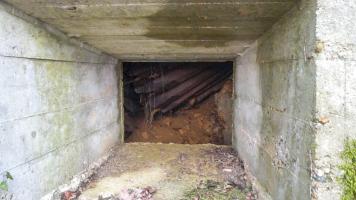 Ligne Maginot - BOIS DES ROCHES (3° DIC) - (PC) - Une ouverture  ( fenetre )