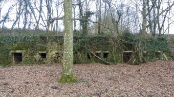 Ligne Maginot - BOIS DES ROCHES (3° DIC) - (PC) - 