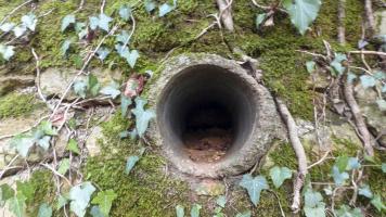 Ligne Maginot - BOIS DES ROCHES (3° DIC) - (PC) - Conduit d'aération