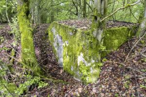 Ligne Maginot - BOIS DE VILLÉCLOYE 1 - (Observatoire d'artillerie) -            