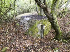Ligne Maginot - BOIS DE VILLÉCLOYE 1 - (Observatoire d'artillerie) - 