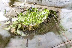Ligne Maginot - BOIS DE VILLÉCLOYE 2 - (Observatoire d'infanterie) - 