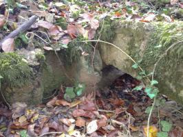 Ligne Maginot - BOIS MAROTTE NORD - (Abri) - Ancien abri (Ouest).
Éléments en béton et empreintes de tôles métro laissées dans le béton.