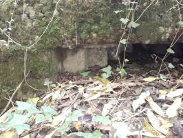 Ligne Maginot - BOIS MAROTTE SUD - (Blockhaus de type indeterminé) - Blockhaus détruit. Vue d'un créneau.
