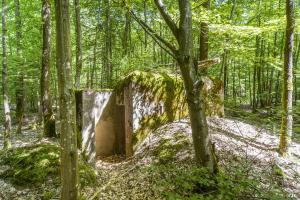 Ligne Maginot - SCHEIDWALD 9 - (Blockhaus pour arme infanterie) -                    