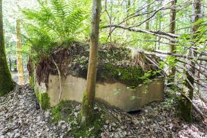 Ligne Maginot - SCHEIDWALD 9 - (Blockhaus pour arme infanterie) -                  