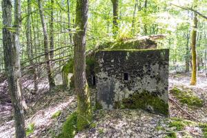 Ligne Maginot - SCHEIDWALD 9 - (Blockhaus pour arme infanterie) -                   
