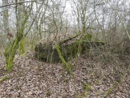 Ligne Maginot - SCHEIDE 4 - (Blockhaus pour arme infanterie) - La façade de tir vers le nord.