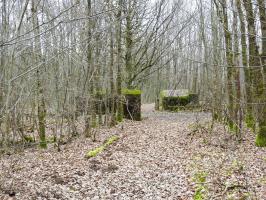Ligne Maginot - SCHEIDWALD 1 - (Blockhaus pour arme infanterie) - Le blockhaus 1 à l'avant et le 2 derrière.