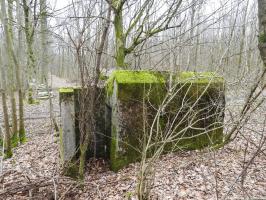 Ligne Maginot - SCHEIDWALD 1 - (Blockhaus pour arme infanterie) - La façade arrière du blockhaus et son entrée.