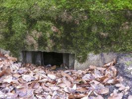 Ligne Maginot - SCHEIDWALD 7 - (Blockhaus pour arme infanterie) - Le créneau principal.