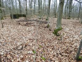 Ligne Maginot - SCHEIDWALD 7 - (Blockhaus pour arme infanterie) - La tranchée qui part du blockhaus 6 et vas vers le 7. 