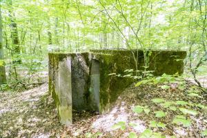 Ligne Maginot - SCHEIDWALD 7 - (Blockhaus pour arme infanterie) -                        