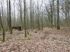 Ligne Maginot - SCHEIDWALD 4 - (Blockhaus pour arme infanterie) - Les blockhaus 4 (à gauche) et 3 (à droite).