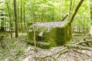 Ligne Maginot - SCHEIDWALD 4 - (Blockhaus pour arme infanterie) - 